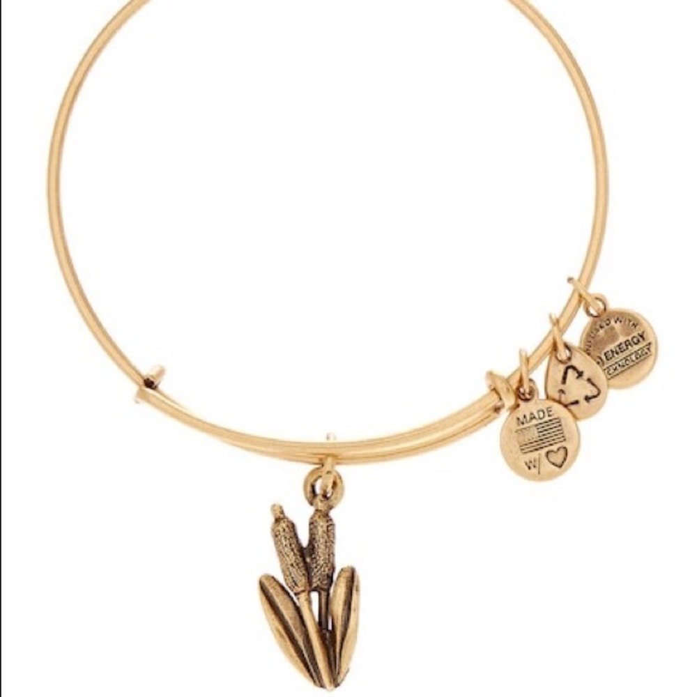 Alex and Ani Gold cattail bangle